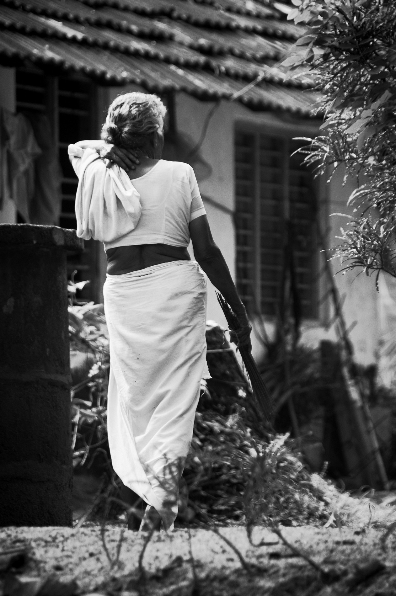 india by lily alssen