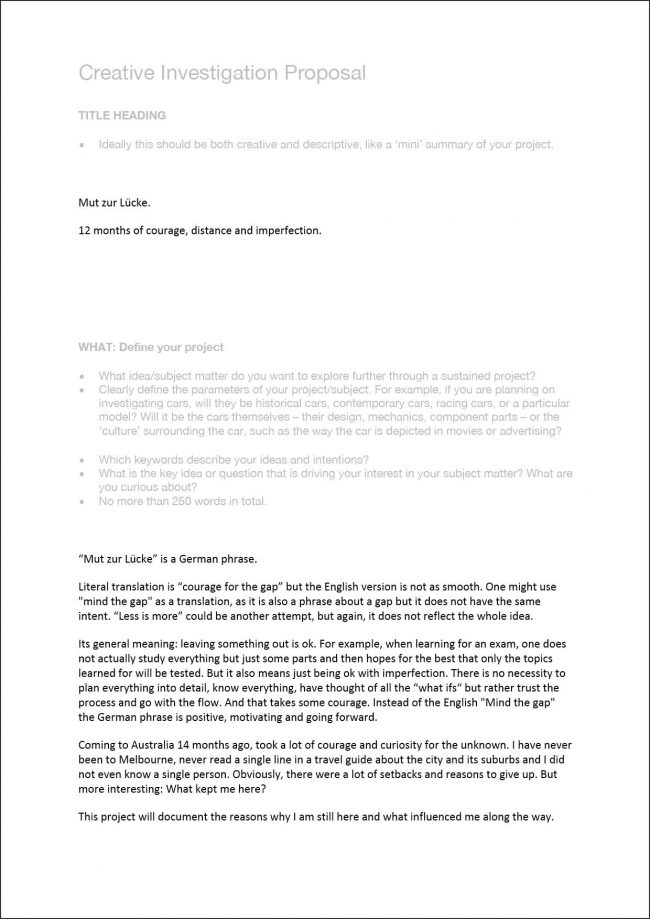 Creative Investigation Proposal – before supervision