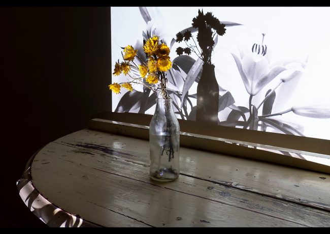 reviewA_introduction16