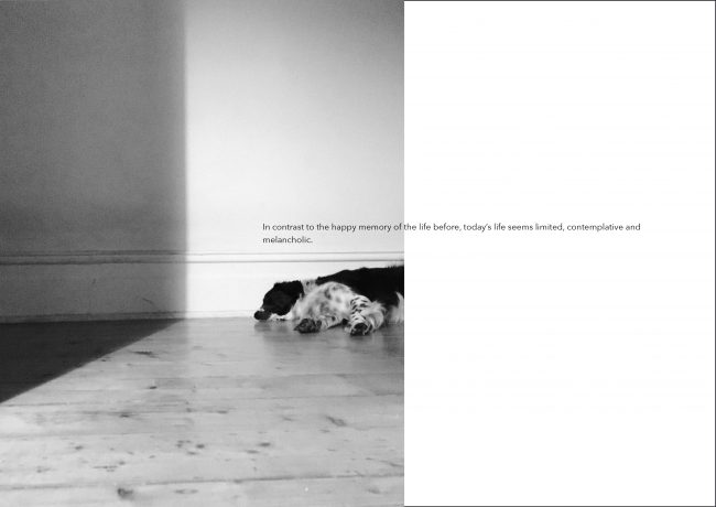 reviewA_introduction6