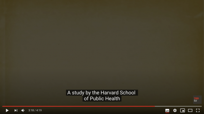 Bildschirmfoto 2020-05-31 um 18.52.46