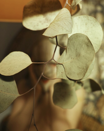 Bildschirmfoto 2020-08-13 um 16.56.37