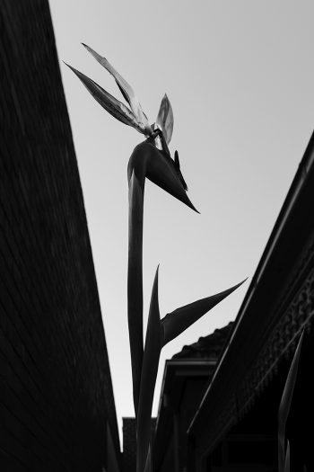 _LIL2740_bwessentials08_1200px