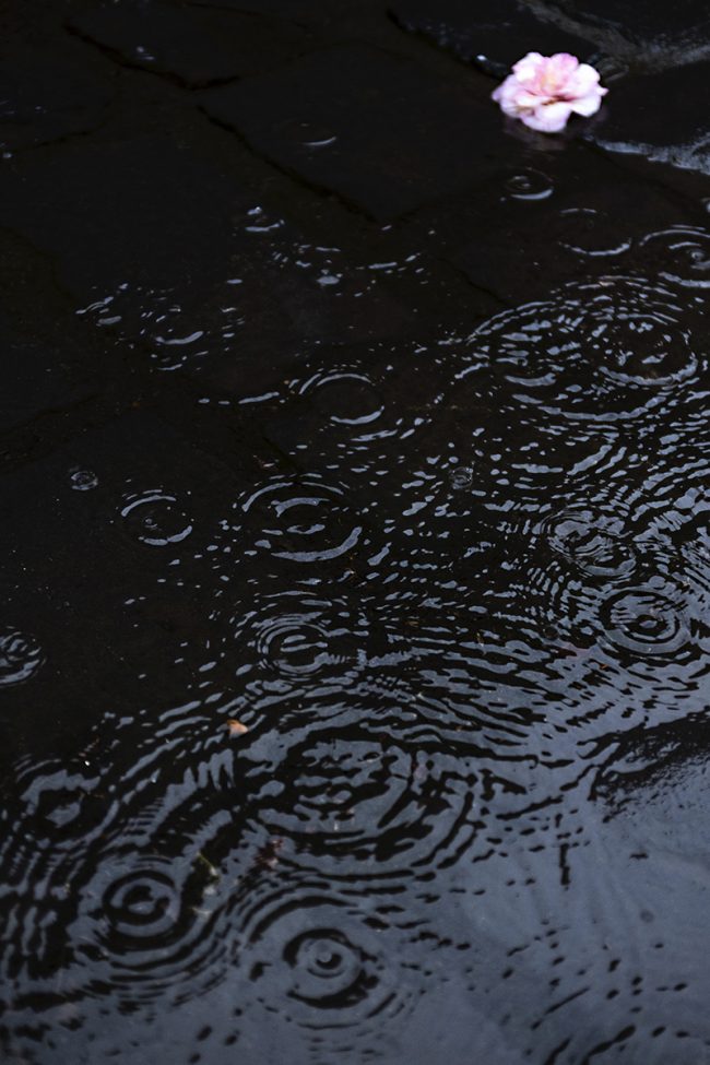 _LIL3082_kdkpr160v_1200px