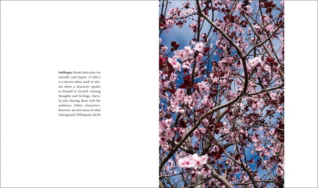 soliloquy_pj4