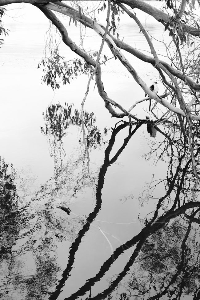 _LIL6215_bwessentials04_1200px