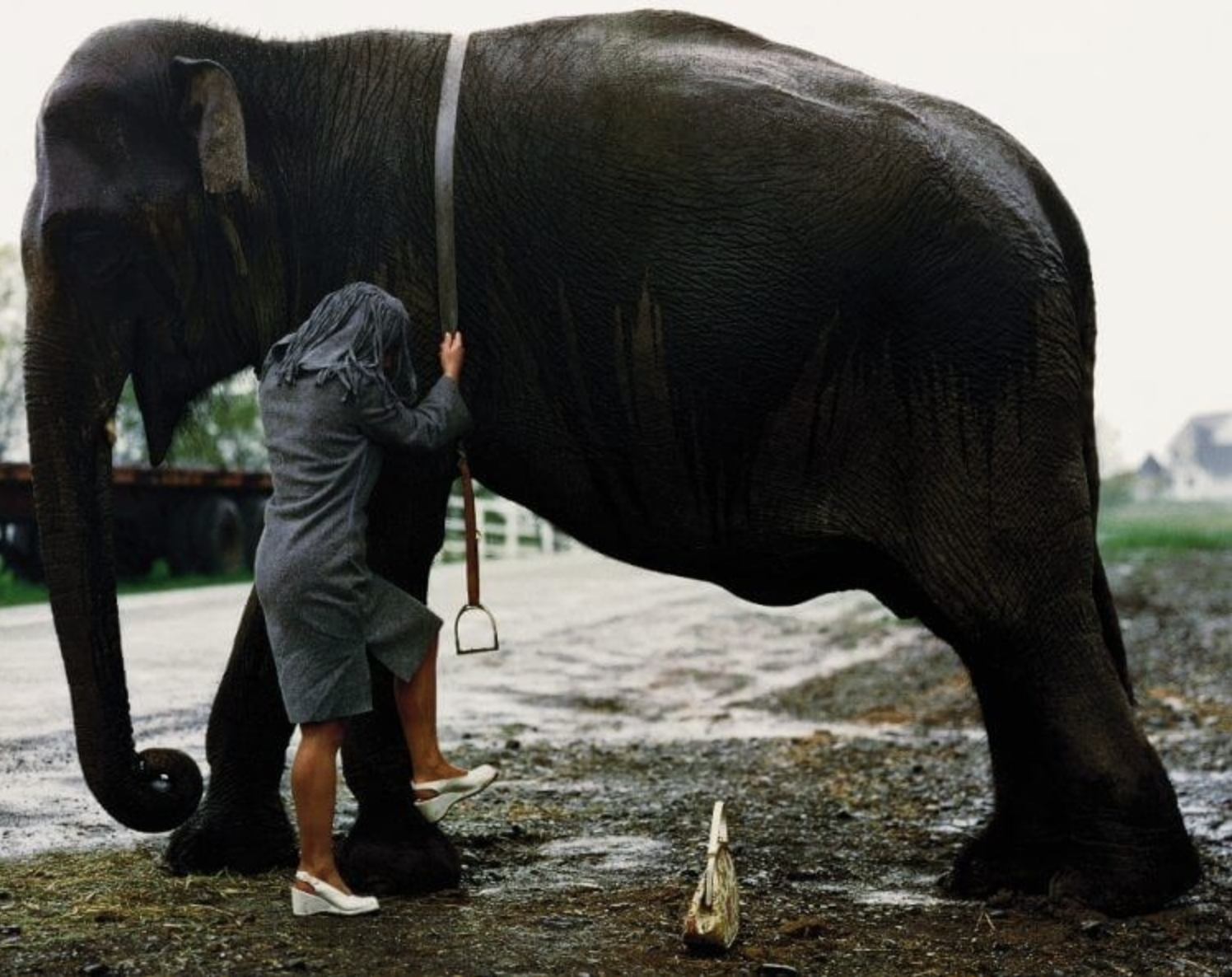 Bildschirmfoto 2021-04-11 um 17.34.41