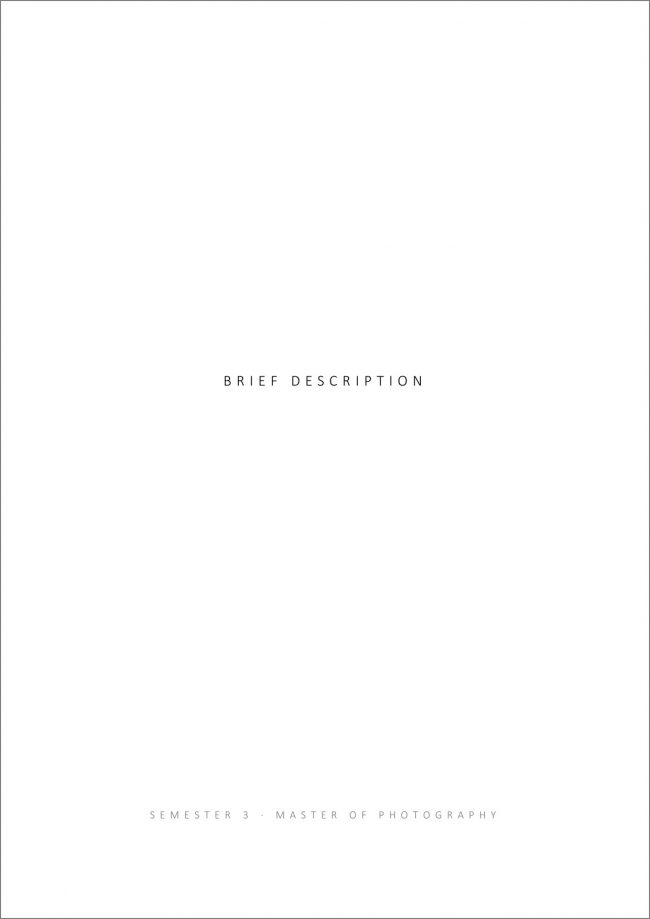 2 _ brief description _ 1