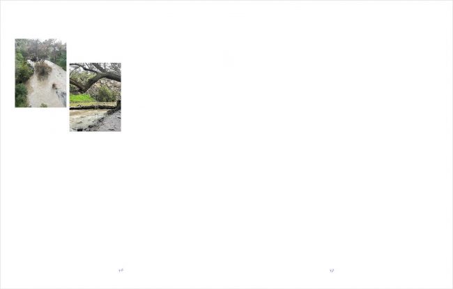 exegesis2021-11-08_24