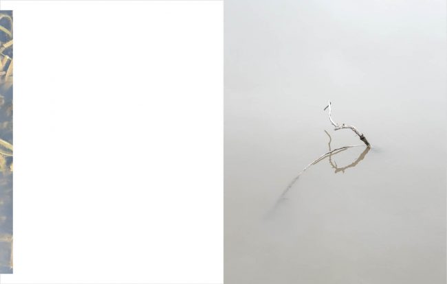 exegesis2021-11-08_39