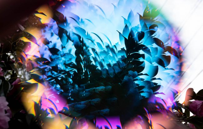 exegesis2021-11-08_53